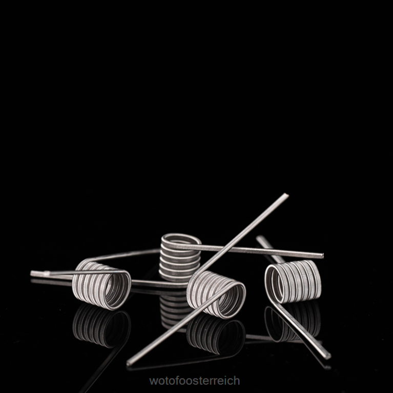 ID vorgefertigte Spule Dual Core Fused Clapton 0,65 Ohm 5mm 5St Wotofo - Wotofo e-zigarette 42F2Z347