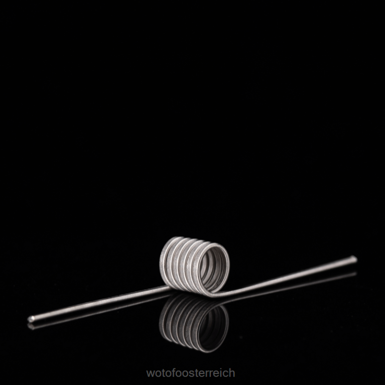 ID vorgefertigte Spule Dual Core Fused Clapton 0,65 Ohm 5mm 5St Wotofo - Wotofo e-zigarette 42F2Z347